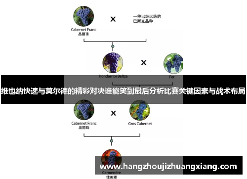 维也纳快速与莫尔德的精彩对决谁能笑到最后分析比赛关键因素与战术布局