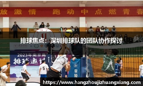 排球焦点：深圳排球队的团队协作探讨